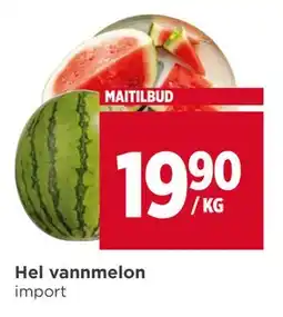Meny Hel vannmelon tilbud