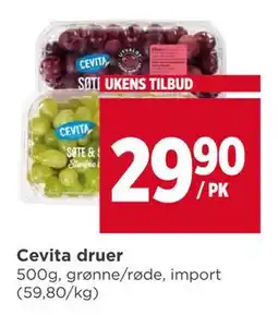 Meny Cevita druer tilbud