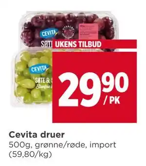 Meny Cevita druer tilbud