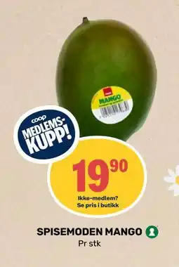 Matkroken SPISEMODEN MANGO, Medlemspris tilbud