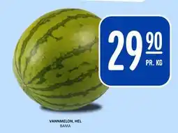 Rema 1000 VANNMELON, HEL tilbud