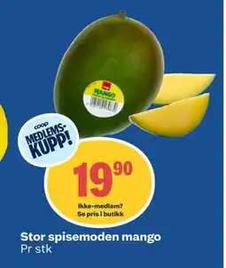 Coop Obs Stor spisemoden mango, Medlemspris tilbud