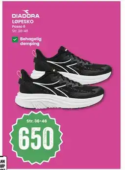 Sport Outlet LØPESKO tilbud