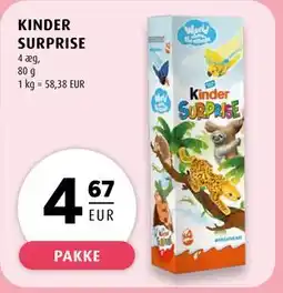 Scandinavian Park KINDER SURPRISE, EUR 4.67 tilbud