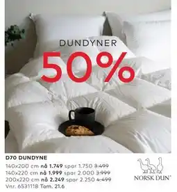 Skeidar D70 DUNDYNE tilbud