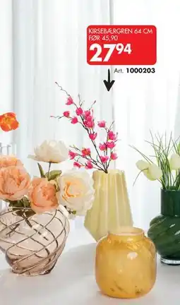 Sparkjøp KIRSEBÆRGREN 64 CM tilbud