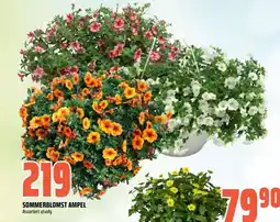 Obs Bygg Sommerblomst ampel tilbud