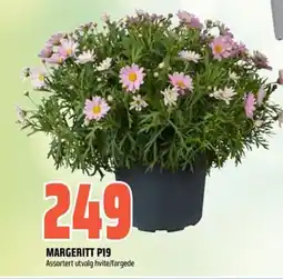 Obs Bygg Margeritt P19 tilbud