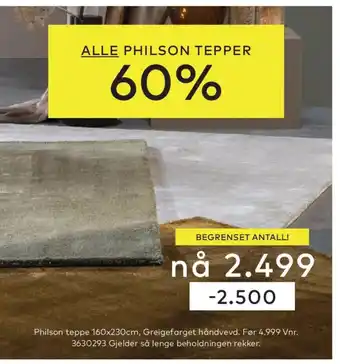 Skeidar Philson teppe tilbud