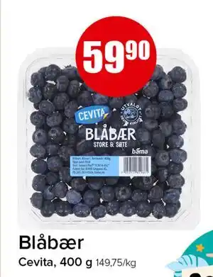 Blåbær