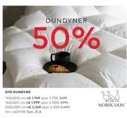 Skeidar D70 DUNDYNE tilbud
