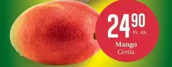 Mango Cevita