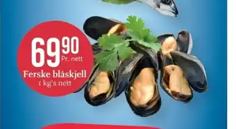 Ferske blåskjell nett