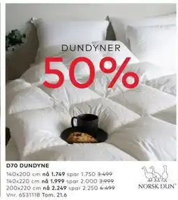 Skeidar D70 DUNDYNE tilbud