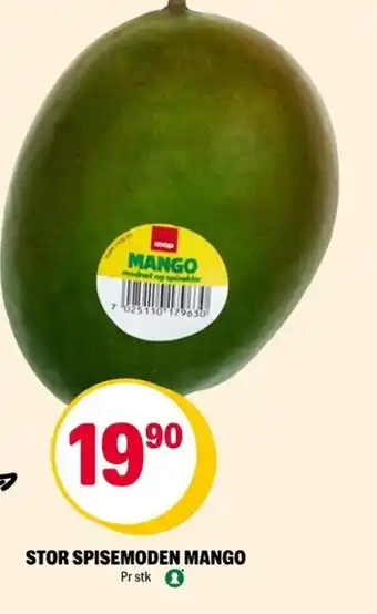 Stor spisemoden mango