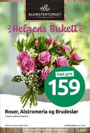 Roser, Alstromeria og Brudeslør