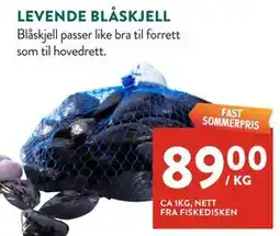 Jacobs LEVENDE BLÅSKJELL tilbud