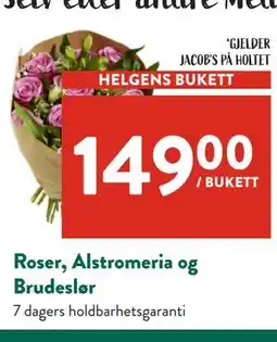 Jacobs Roser, Alstromeria og Brudeslør tilbud