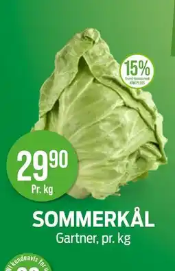 Kiwi SOMMERKÅL tilbud
