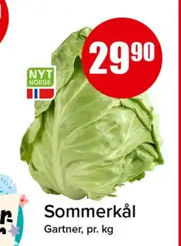 Spar Sommerkål tilbud
