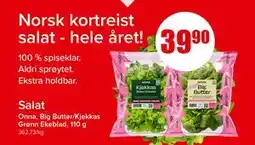 Spar Salat tilbud