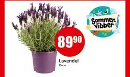 Spar Lavendel tilbud