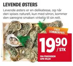 Meny LEVENDE ØSTERS tilbud