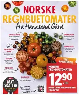 Meny NORSKE REGNBUETOMATER tilbud