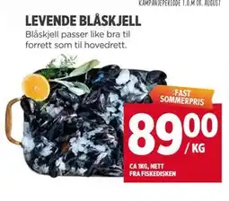 Meny LEVENDE BLÅSKJELL tilbud