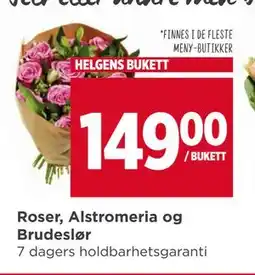 Meny Roser, Alstromeria og Brudeslør tilbud
