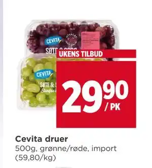 Meny Cevita druer tilbud