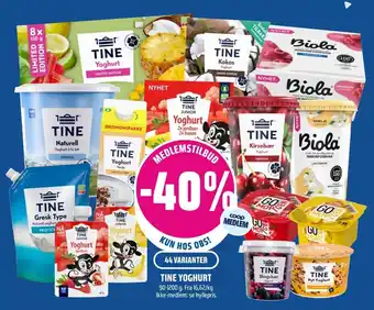 TINE Yoghurt