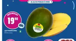 Coop Obs STOR SPISEMODEN MANGO, Medlemspris tilbud