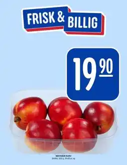 Rema 1000 NEKTARIN KURV tilbud