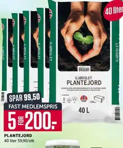 Europris PLANTEJORD, Medlemspris tilbud