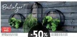 Bohus MADISON plantekasse tilbud