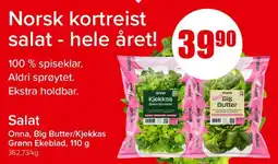 Spar Salat Onna, Big Butter/Kjekkas Grønn Ekeblad, 110 g tilbud