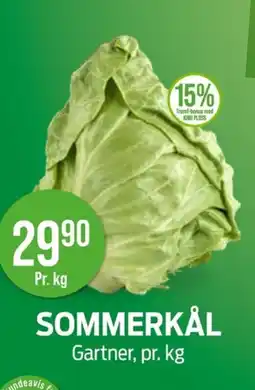 Kiwi Sommerkål tilbud