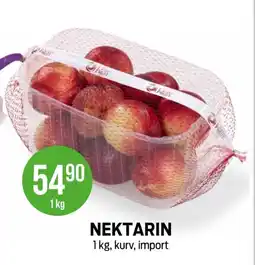 Kiwi Nektarin tilbud