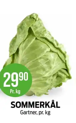 Kiwi Gartner Sommerkål tilbud