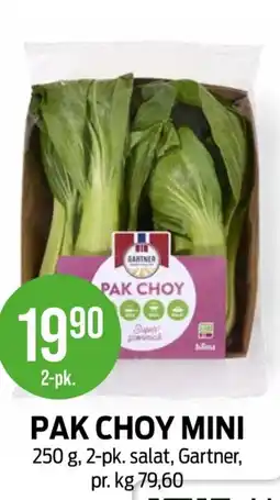 Kiwi Gartner Pak choy mini tilbud