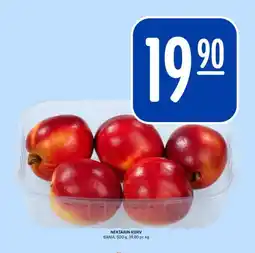 Rema 1000 Nektarin kurv tilbud