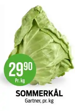 Kiwi Sommerkål tilbud