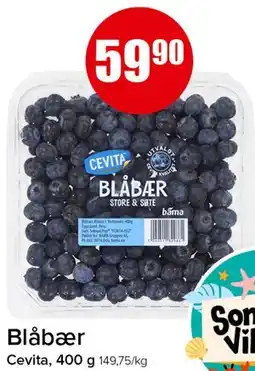Spar Blåbær tilbud