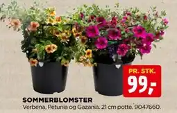 jem & fix SOMMERBLOMSTER tilbud