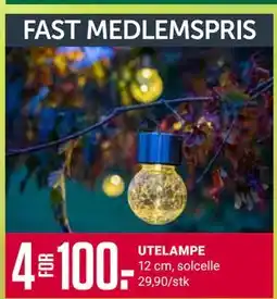 Europris UTELAMPE, Medlemspris tilbud