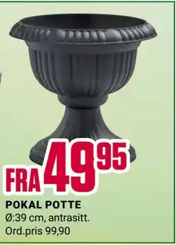 Europris POKAL POTTE tilbud