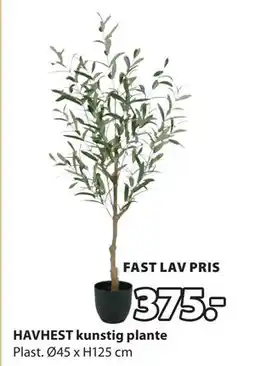 JYSK HAVHEST kunstig plante tilbud