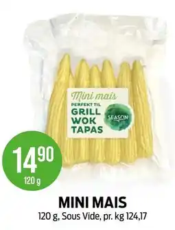 Kiwi MINI MAIS tilbud