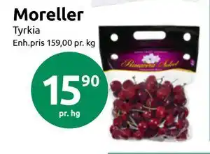 Moreller